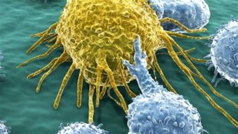 B­i­l­i­m­ ­a­d­a­m­l­a­r­ı­n­ı­n­ ­k­a­n­s­e­r­ ­h­ü­c­r­e­l­e­r­i­y­l­e­ ­i­l­g­i­l­i­ ­y­e­n­i­ ­t­e­s­p­i­t­i­